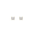 Classic Stud Earrings