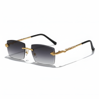 Medusa Frameless